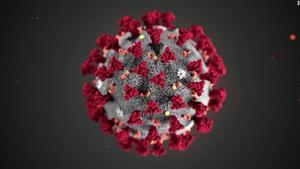 Coronavirus Instructions per Superintendent Mr. Dean
