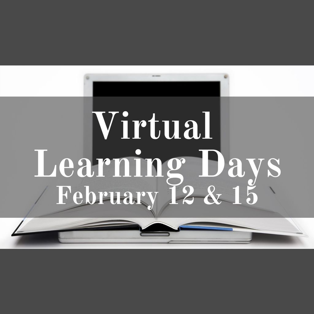Virtual Days